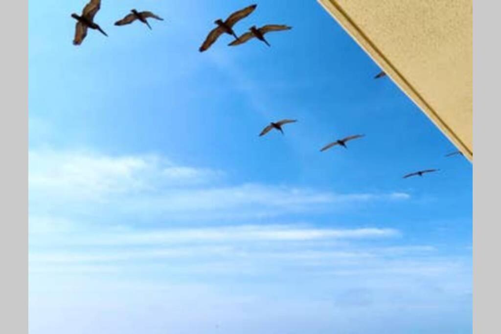 Beach Front 18Th Flr, Best Ocean View, New Upgrades Destin Zewnętrze zdjęcie
